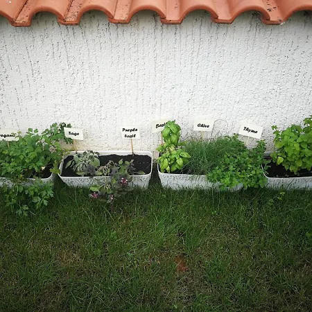 Apartment Viti With Garden And Barbecue